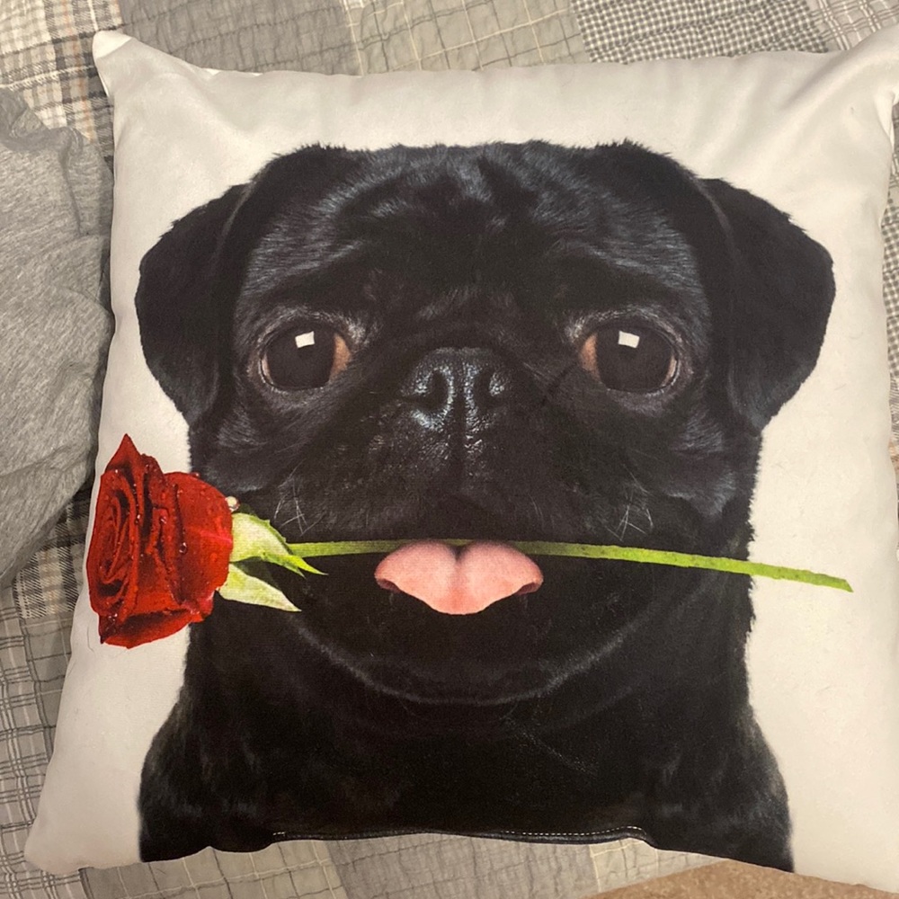 Pug Pillow